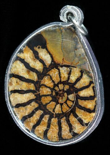 Moroccan Ammonite Fossil Pendant #58367